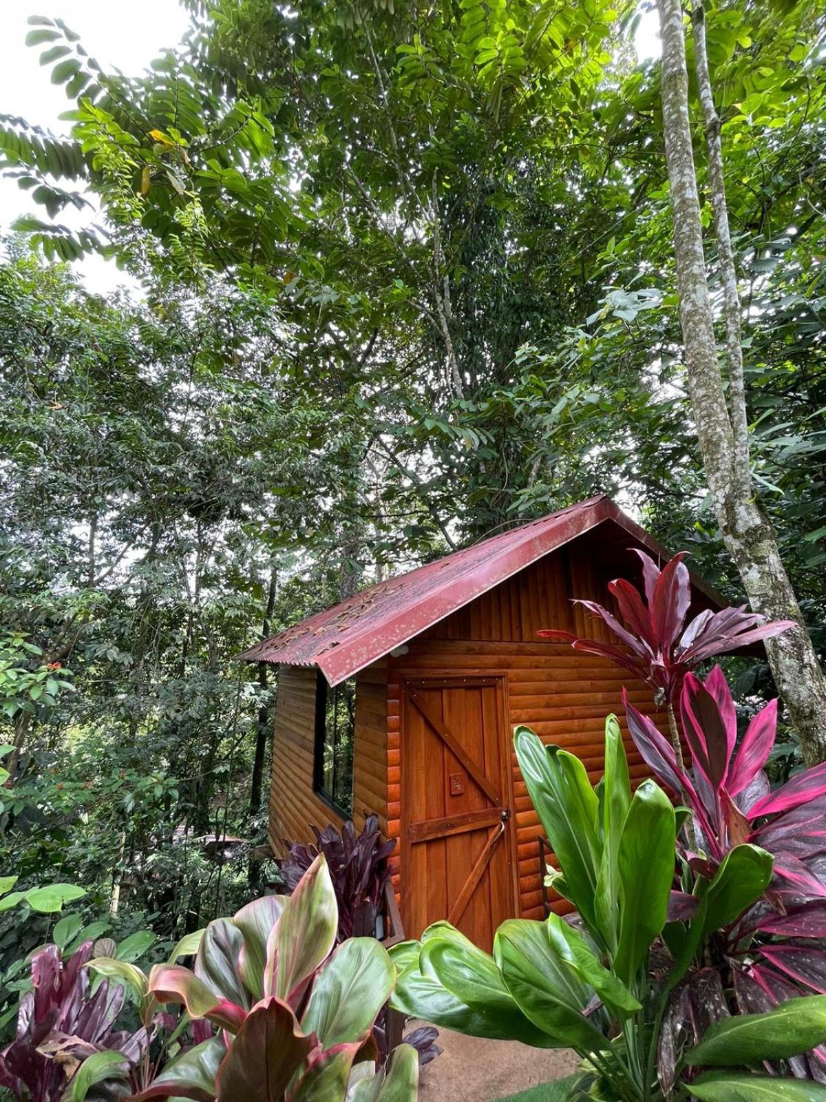 Arenal Rustic Lodge La Fortuna Exterior foto