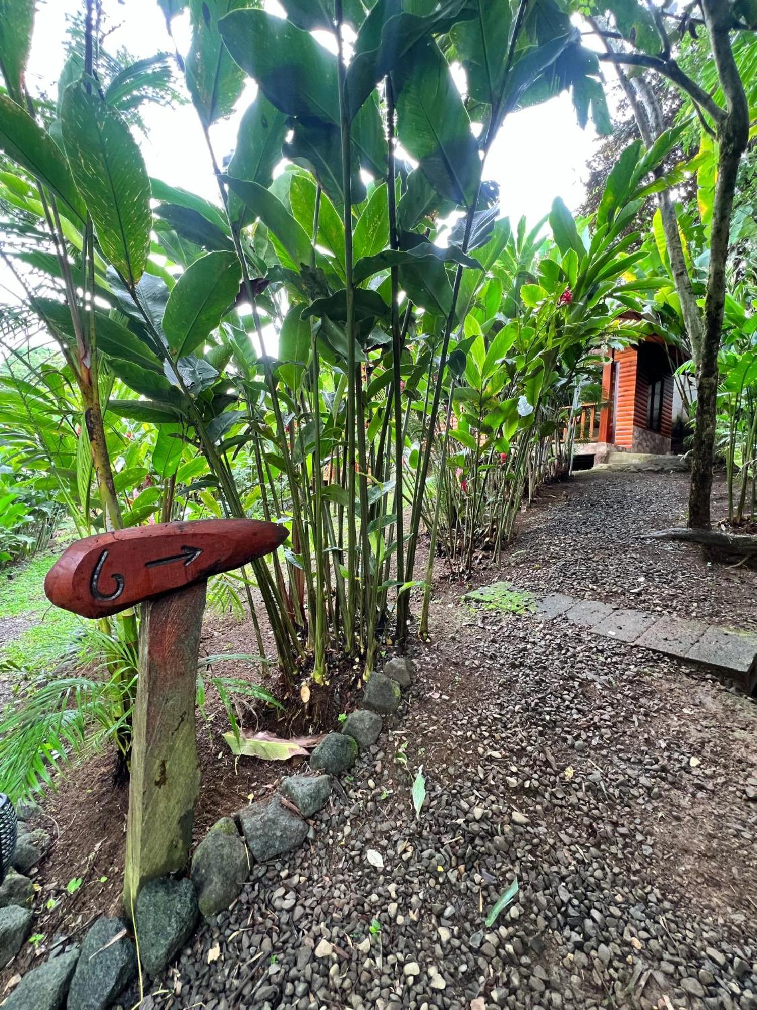 Arenal Rustic Lodge La Fortuna Exterior foto