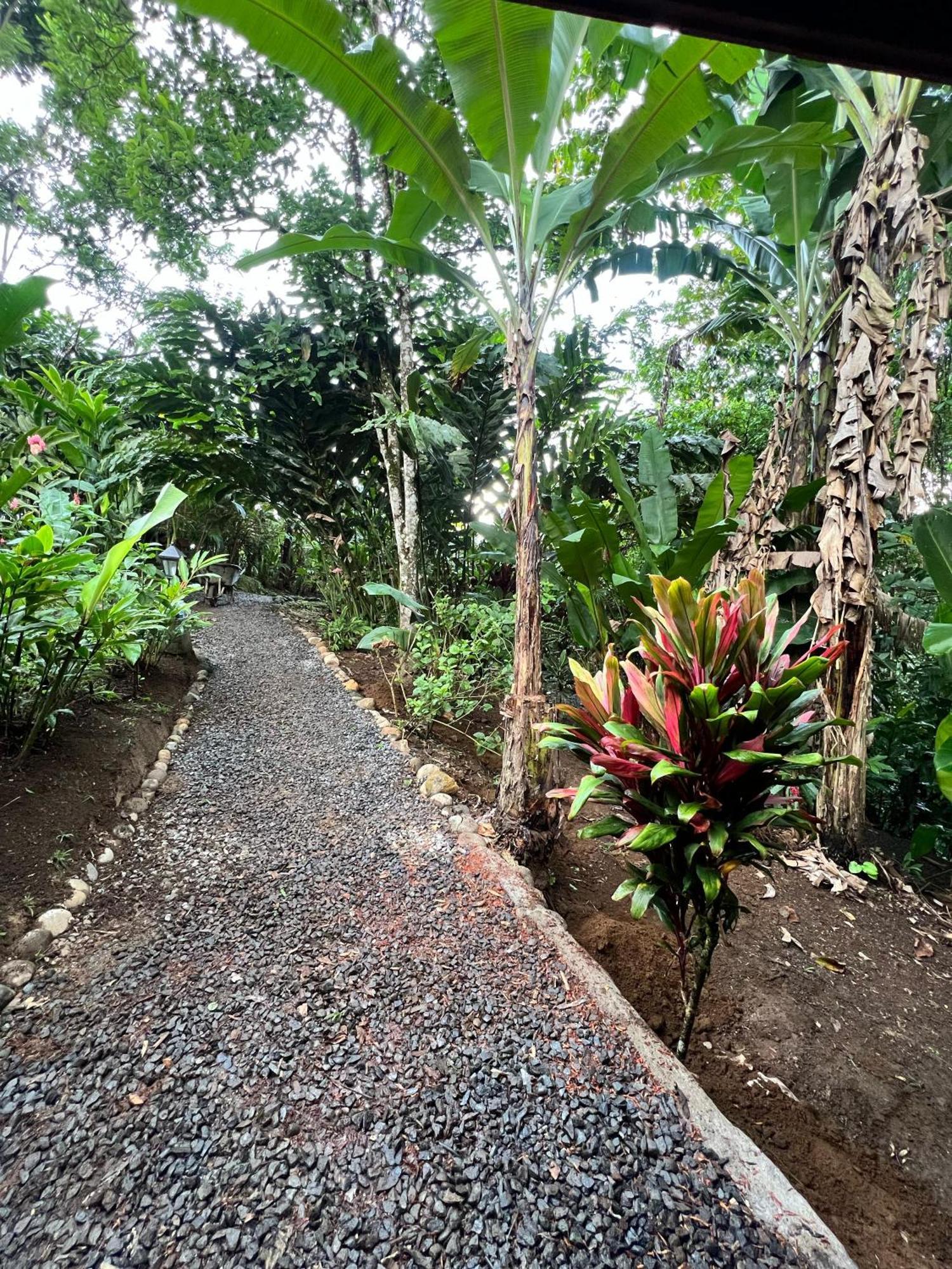 Arenal Rustic Lodge La Fortuna Exterior foto