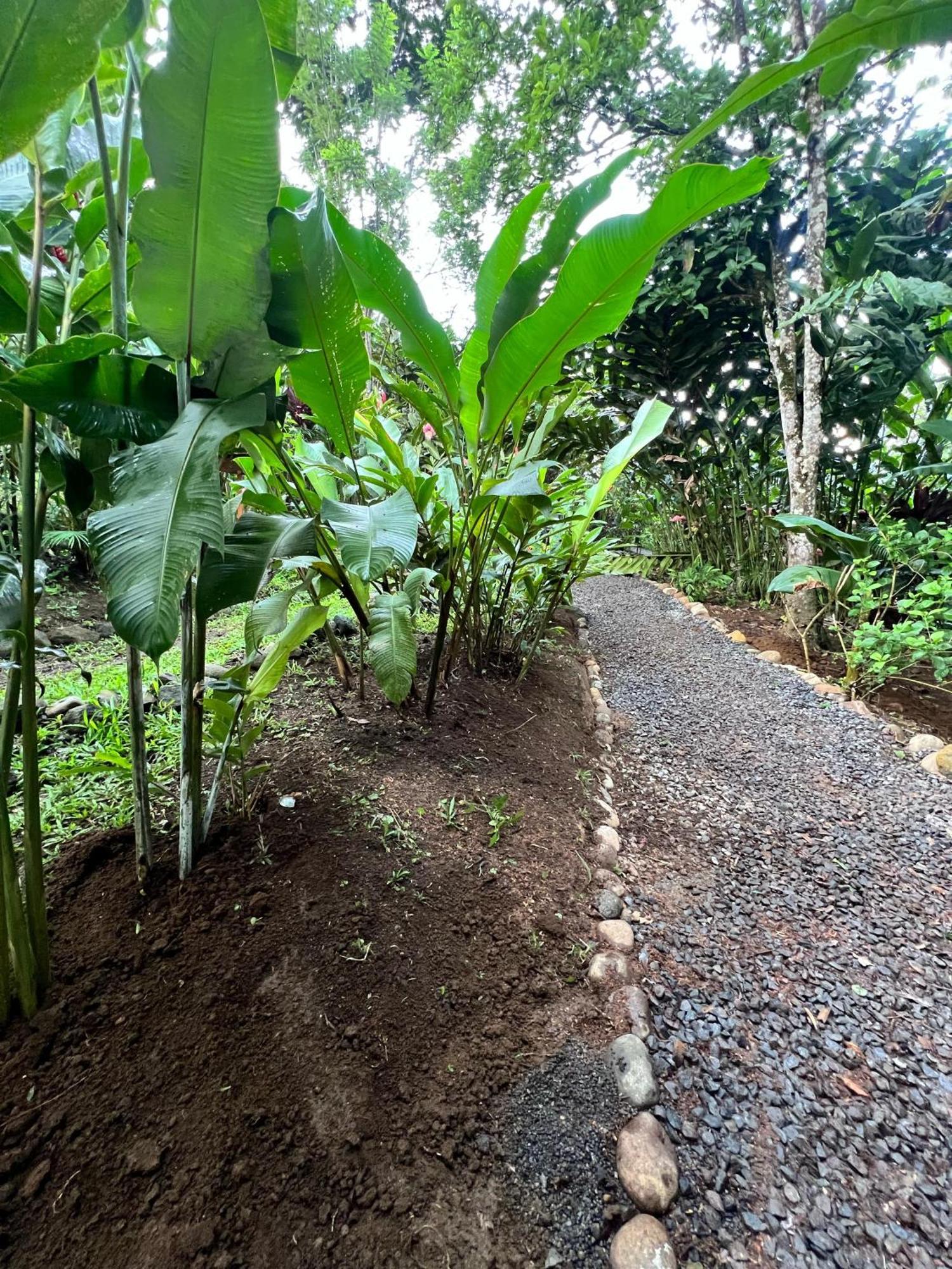 Arenal Rustic Lodge La Fortuna Exterior foto